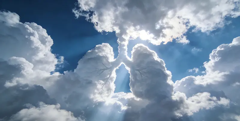 安庆肺癌8基因突变检测（组织）图片1