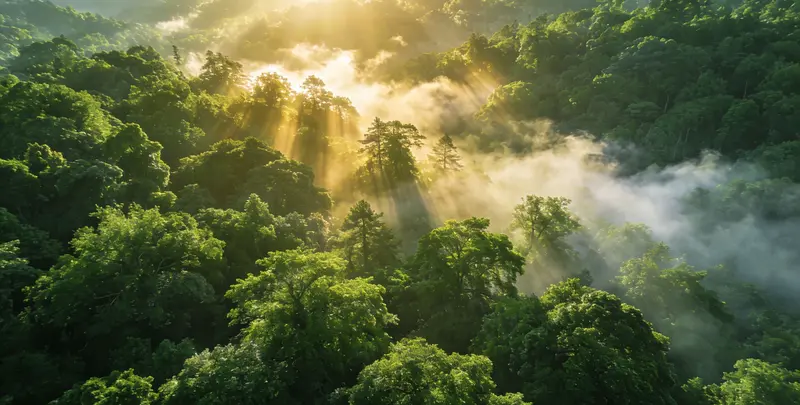 安庆肺癌49基因检测图片1