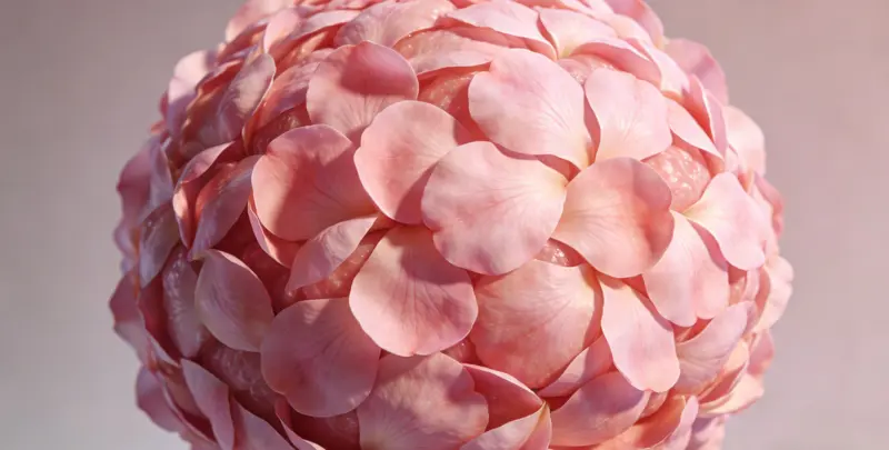 BRCA1/2乳腺癌卵巢癌基因检测图4