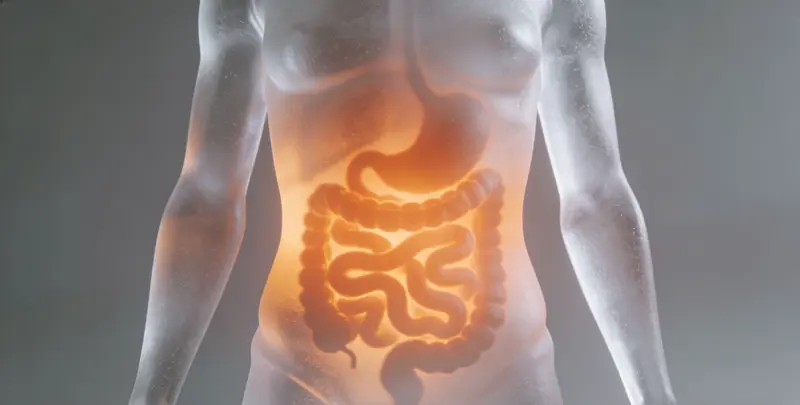 安庆胃癌分子分型基因检测项目（组织）图片1